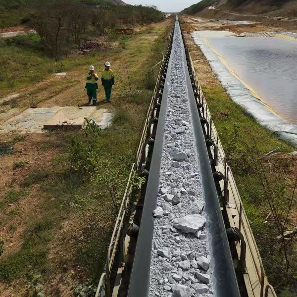 用邁世軌道巡檢機(jī)器人，海運(yùn)碼頭長距離送料巡檢實(shí)現(xiàn)無人化